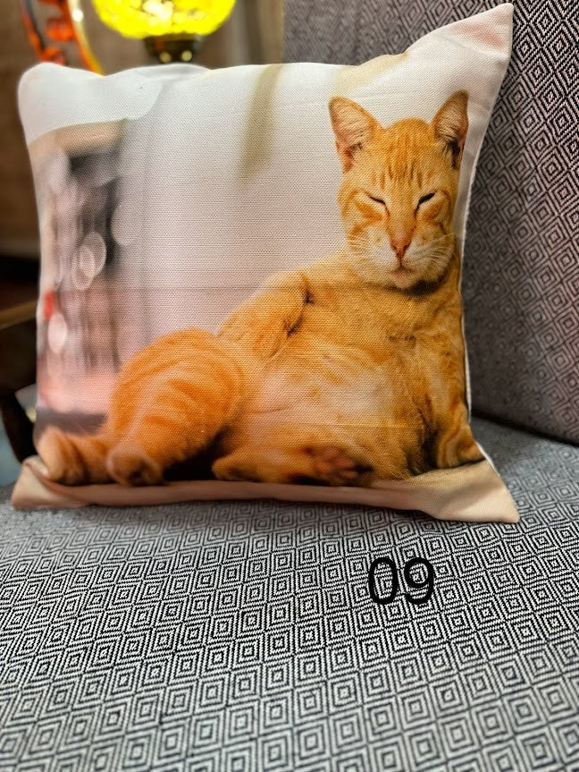 Cat Photos Printed Cushion Covers 17'x17'
