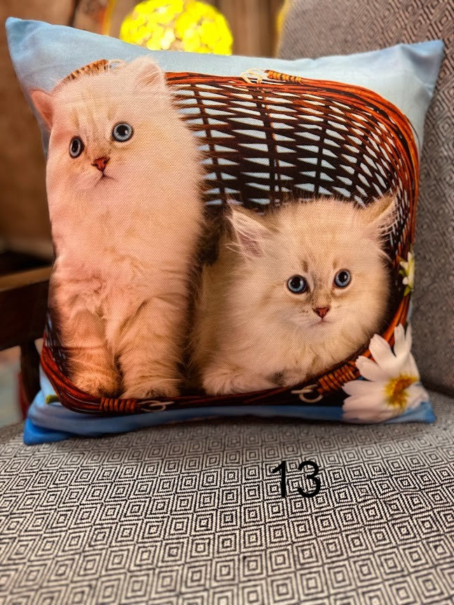 Cat Photos Printed Cushion Covers 17'x17'